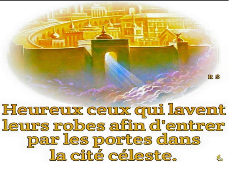 LA SELECTION DES ELITES* DE JERUSALEM* BLANCHE EST PAR DIEU VIVANT SEULEMENT MES HEROS AMERICAINS* :)