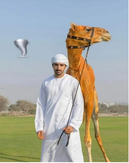 AND THE WINNER AS ALWAYS IS MY FAITHFUL HUSBAND HAMDAN* ALMAKTOUM BY GOD LOYALTY :)