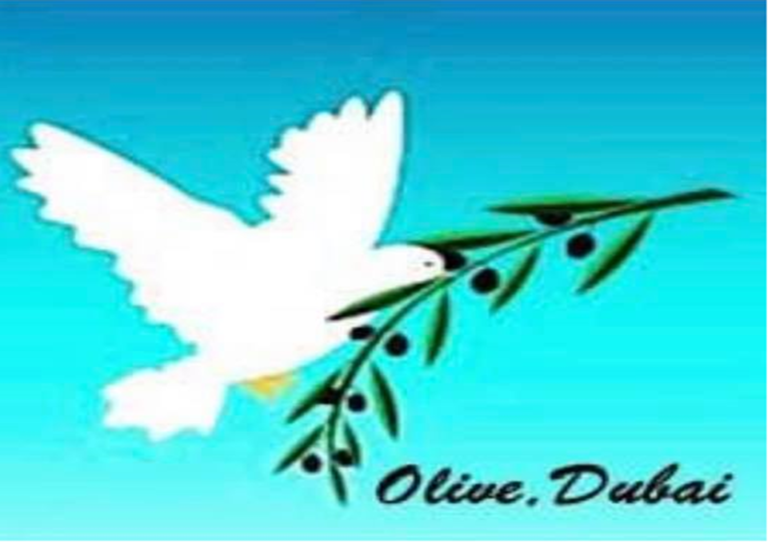 We are Birds of Peace DEAR NOBLE AMERICANS* AND WE ARE MAKING PEACE OF NATIONS :)
